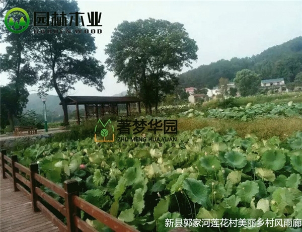 黄片榴莲视频風雨廊